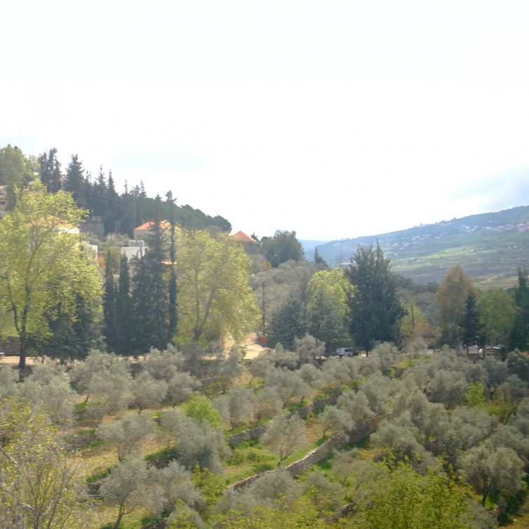 Untitled (1080 x 1080 px)