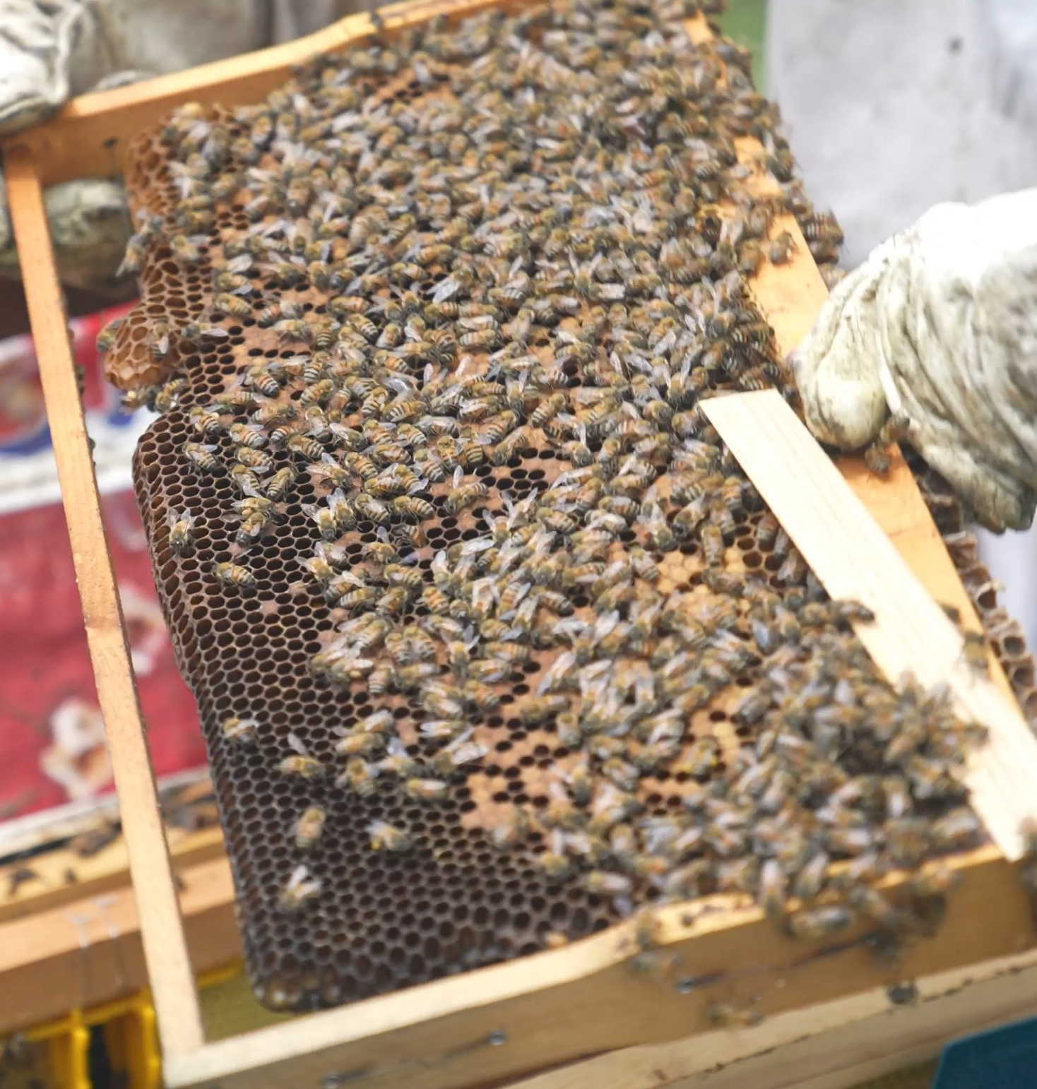 51fcdbb7-7a30-4258-b0a9-c1510e9771f2