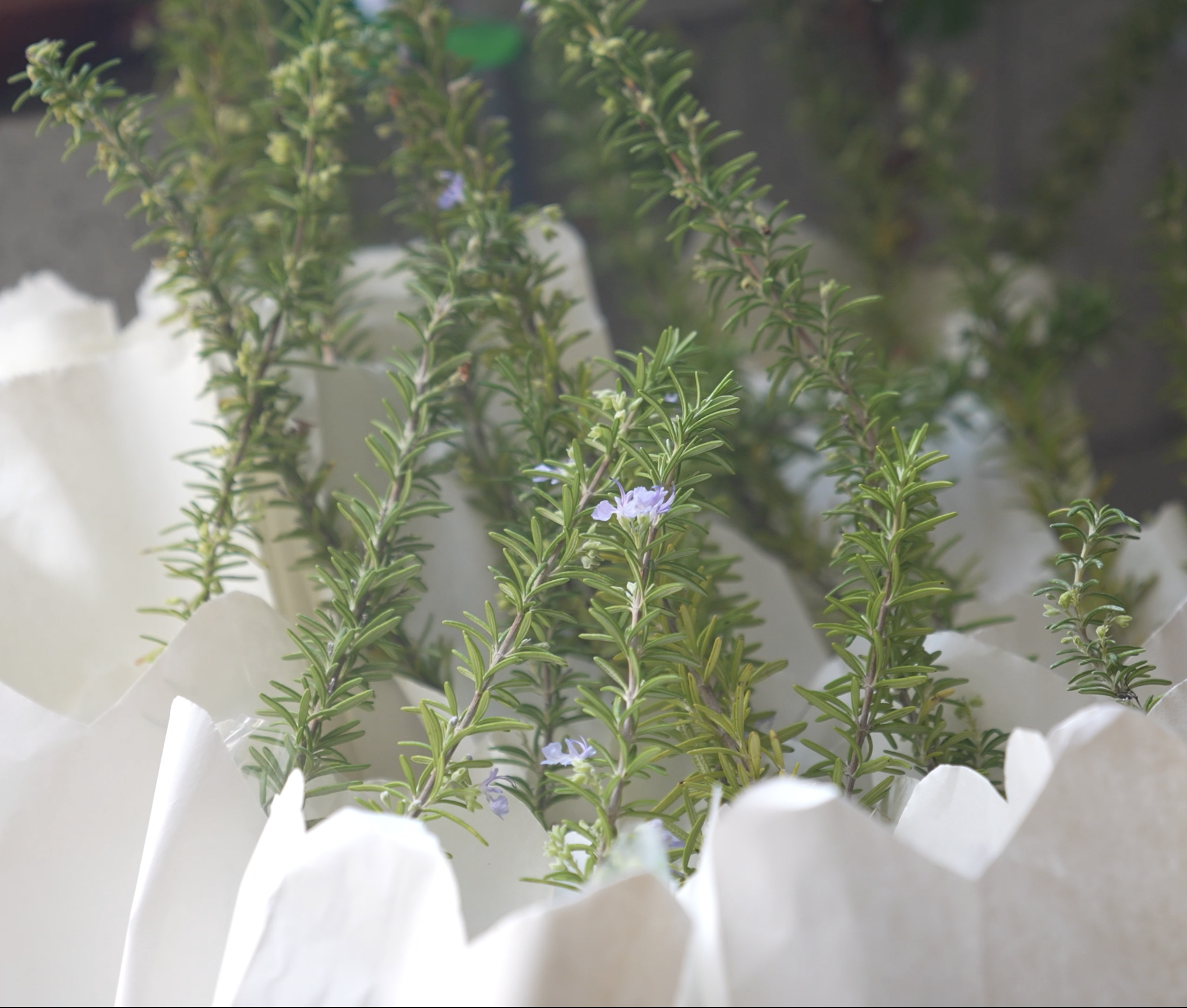 Screenshot 2025-10-09 at 21.25.48