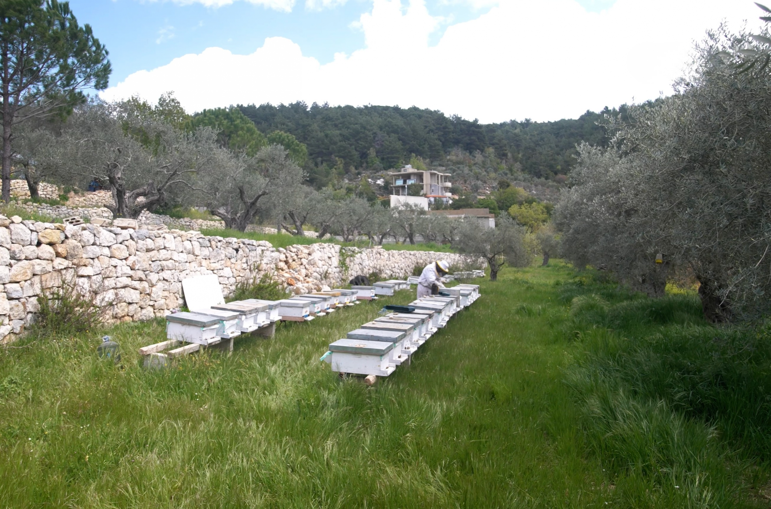 fd160390-0f94-4c5b-a580-2c92b476841d